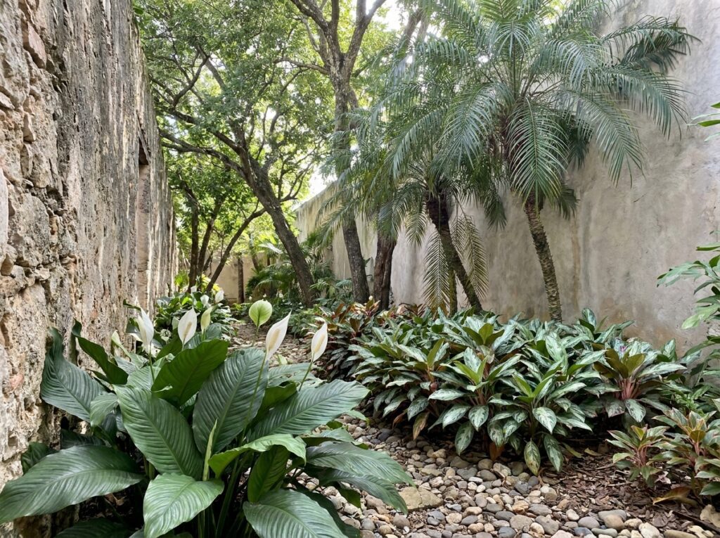 composição com ráfis aglaonema e lírio da paz em meia sombra para jardim pequeno